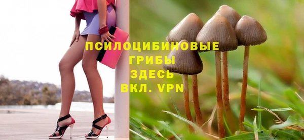 марки lsd Абаза