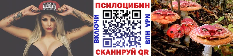 Галлюциногенные грибы прущие грибы  Тихорецк 