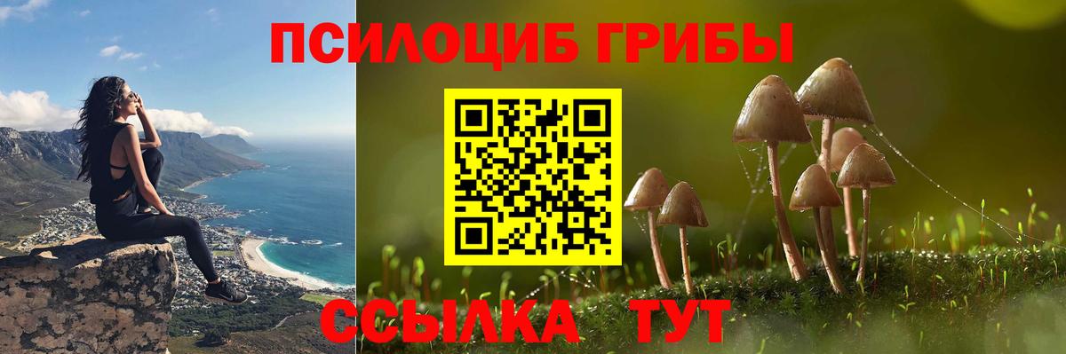 Тихорецк  Псилоцибиновые грибы MAGIC MUSHROOMS  Галлюциногенные грибы мицелий  Вход с VPN 